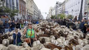 elDiario.es - News update