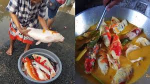 Ada 20 gudang lagu rudy sahabat gulai kepala kakap terbaru, klik salah satu untuk download lagu mudah dan cepat. Aksi Warganet Masak Ikan Koi Dibumbu Gulai Ini Bikin Elus Dada Hot Liputan6 Com