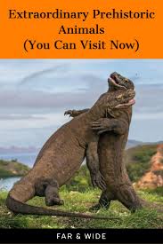 Prehistoric Animals That Are Alive Today Animals Prehistoric Animals Animals Beautiful