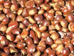 Esskastanie Esskastanie Ess Kastanie Castanea Sativa Gunstig Online Kaufen In 2020 Esskastanien Kastanien Essen