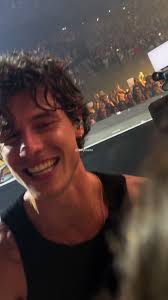 Shawn Mendes Concert Experience in Amsterdam