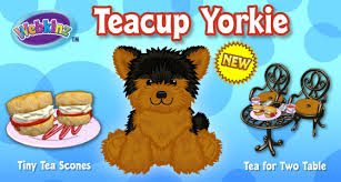 Teacup Yorkie Wkn Webkinz Newz The yorkshire terrier is a small dog breed of terrier type, developed in the 1800s in the historical area of yorkshire in england. teacup yorkie wkn webkinz newz