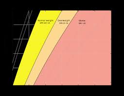 Bmi Scale Chart Jasonkellyphoto Co