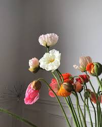 Catalina Laine On Instagram Les Pavots Glass Vase Home Decor Decor