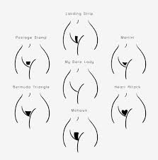 Pin On From Bras To Pubic Hairs