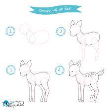 Coloriage pas à pas Animaux de la forêt | C-MonEtiquette | Easy drawings,  Deer drawing, Forest drawing