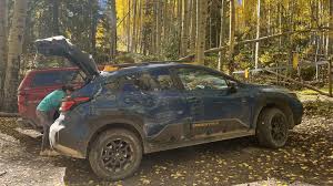 Image result for Earth Brown 2018 Fleet