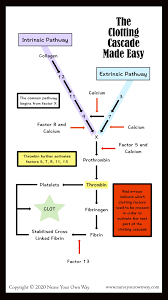 Plugging the breaks when an injury causes a blood vessel wall to break, platelets are activated. The Clotting Cascade Made Easy Nurse Your Own Way