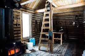 Man Builds Beautiful Log Cabin From Scratch Designs Ideas On Dornob