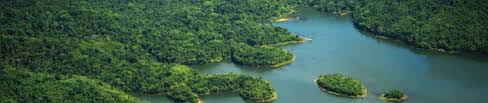 Sep 27, 2021 · sign in subscribe my account sign out. Home Page Wealth Accounting And The Span Valuation Of Ecosystem Services