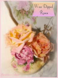 Check spelling or type a new query. Suzy Homefaker Wax Dipped Flowers