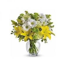 Check spelling or type a new query. Pin On Sendflowers Pk