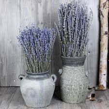 Best florists since 2001 for sending roses bouquet to india at low cost. Dried Flowers French Dried Lavender Bunch Preserved Lavender For Home Decoration Buy Dried Lavender Dried Lavender Flowers Dried Lavender Bunch Product On Alibaba Com