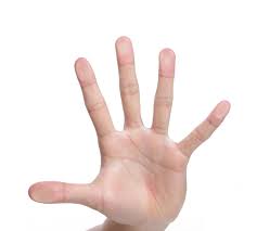 Image result for hands