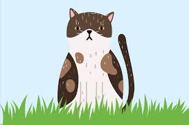 Cara agar kucing tidak berak sembarangan. Ini Alasan Kucing Peliharaan Tidak Mau Bab Di Litter Box