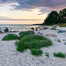 Find and follow posts tagged kristianstad on tumblr. Revhaken Havsbad Ahus Aktuelle 2021 Lohnt Es Sich Mit Fotos Tripadvisor