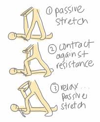 PNF stretching - Better Body Group