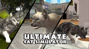Download Play Ultimate Cat Simulator On Pc Mac Emulator