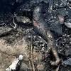 The chapecoense air disaster occurred when chartered lamia airlines flight 2933 crashed on 28 november 2016 while six people survived the crash. 1