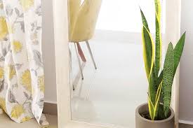 Indoor plants can thrive in your home, as long as you choose the right plants. Longest Living House Plants How To Keep Your Plants Alive Forever