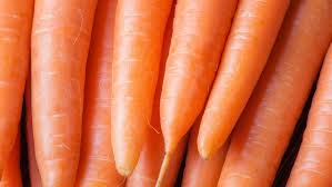 We did not find results for: Growing Carrots In Your Home Garden Homegrown Nc State University
