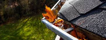 Ten Household Jobs To Do This Autumn In 2020 Cleaning Gutters Household Housekeeping Supplies