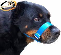 A focinheira é um acessório para cães que pode ser necessário em certas situações e obrigatório para cachorros considerados potencialmente perigosos. Focinheira Para Caes Passeio Molinas Pet