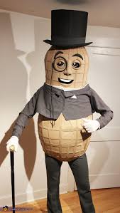 Mr Peanut Adult Costume