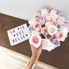 In its untamed form the flower goes back even further; Speak The Language Of Flowers By Learning The 7 Meanings Of Rose Colors