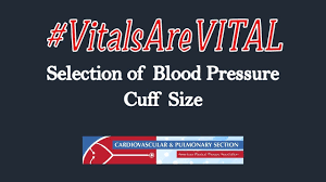 Maybe you would like to learn more about one of these? How To Choose The Correct Cuff Size Youtube