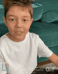 David Plate Compactor GIF