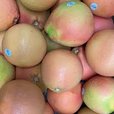 Profile for Elpidio Produce