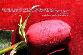 Valentine S Day Pictures Images Photos Greetings Rose Poems Rose Quotes Poems