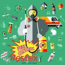 Brownstone pest control is a pest exterminating company serving hoboken and jersey city, nj. Pestex International Pestexinternationalbh Profile Pinterest
