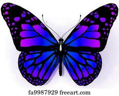 Pictures containing real butterflies by randi jones: 1000 Free Butterfly Prints Posters Wall Art Amazing Quality