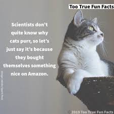 Check spelling or type a new query. Too True Fun Facts Twitterren Caturday Fun Fact Cat Cats Caturday Catsaturday Catmeme Catmemes Amazon Comedy Funny Meme Memes Memesdaily Parody Parodyaccount Satire Lol Lols Lolz Humor Humour Humorous Https T Co Yqouqopfj7