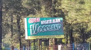 Desa setianegara, kecamatan cilimus, kabupaten kuningan, jawa barat. Harga Tiket Masuk Dan Alamat Woodland Kuningan Destinasi Wisata Dengan Suguhan View Pinus Daka Tour