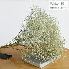 Pin On Dried Flowers Flower Bunches Dried Floral Bulk Flowers Wedding Flowers Floral
