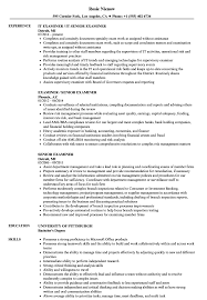 senior examiner resume samples velvet
