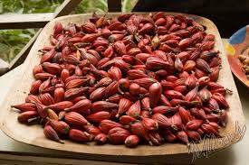 Image result for Aframomum mala