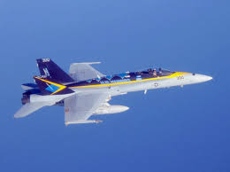 Image result for Blue Vela 2008 146