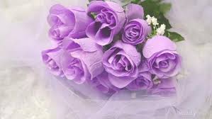 Dibawah merupakan maksud kuntuman bunga ros bermula dengan sekuntum hingga kuntum ke 25, kalau lebih kami tak pasti. Kenali Makna Bunga Mawar Berdasarkan Warnanya Bagian 2