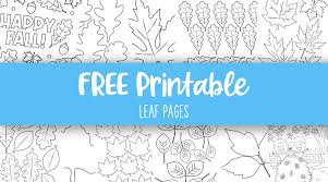 Your child will love coloring his favorite zoo animals. Leaf Outlines Templates Coloring Pages 55 Free Pages Printabulls