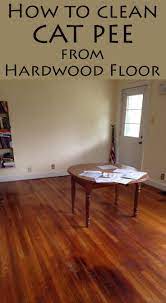 Clo2 is not a masking agent. How To Clean Cat Pee From Hardwood Floor Cleaningtutorials Net Your Cleaning Solutions Cleaning Pet Urine Hardwood Floors Cleaning Cat Urine