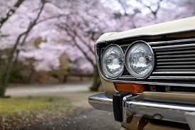 Image result for Federal Standard Yellow 1969 Bluebird