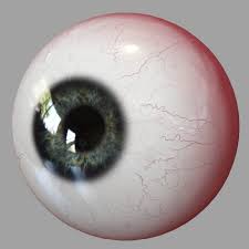 3d Model Eyes Human Realistic Eyeball 3d Model Modeling Techniques Human