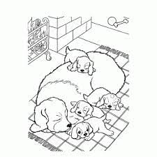 Puppy kleurplaat hond en kat. Puppies Kleurplaten Leuk Voor Kids