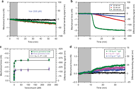 Modified Cantilever Arrays Improve Sensitivity And Reproducibility Of Nanomechanical Sensing In Living Cells Communications Biology