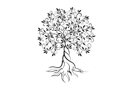 Olive Tree Vector Logo Concept By Provector On Creativemarket Tree Logo Design Olive Tree Tattoos Tree Tattoo