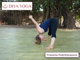 Best Yoga Teacher Training Course In Goa 2019 200 Hour Ttc Hatha Yoga Teacher Training Yoga Teacher Training Course Yoga Teacher Training